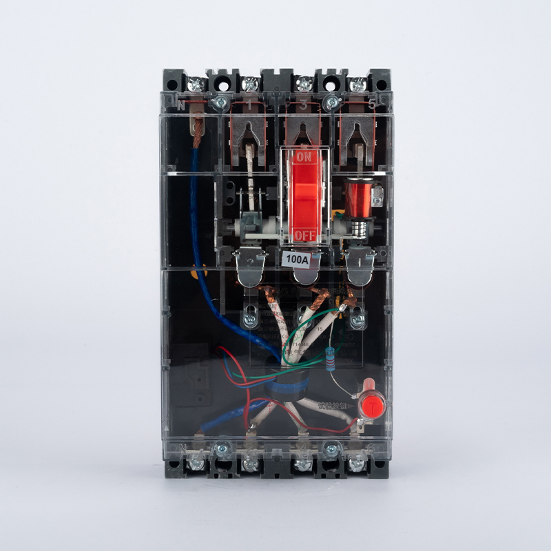 DZ15LE-100T-3N901 transparent leakage circuit breaker